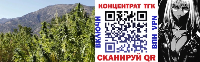 Купить закладки  Бор  ТГК жижа 