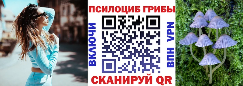Галлюциногенные грибы прущие грибы  Купить закладки  Бор 